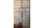 فال حافظ رکنا / 19 مهر 1402 + فیلم